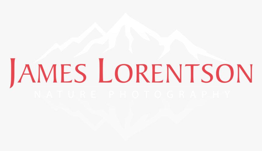2019 - Graphics, HD Png Download