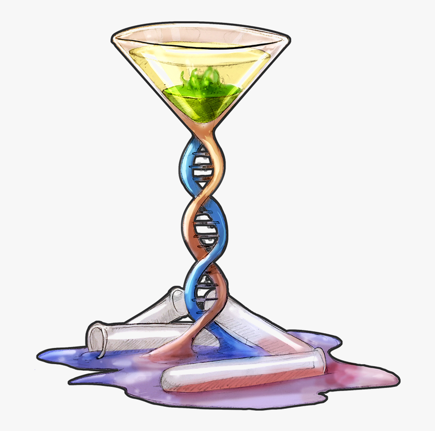 Martini Glass, HD Png Download