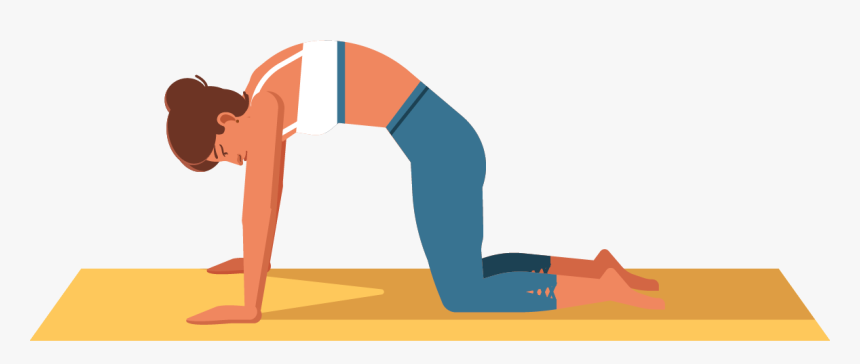 Exercise Png, Transparent Png