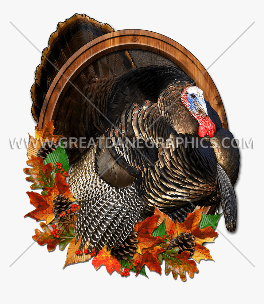Transparent Thanksgiving Png Images, Png Download