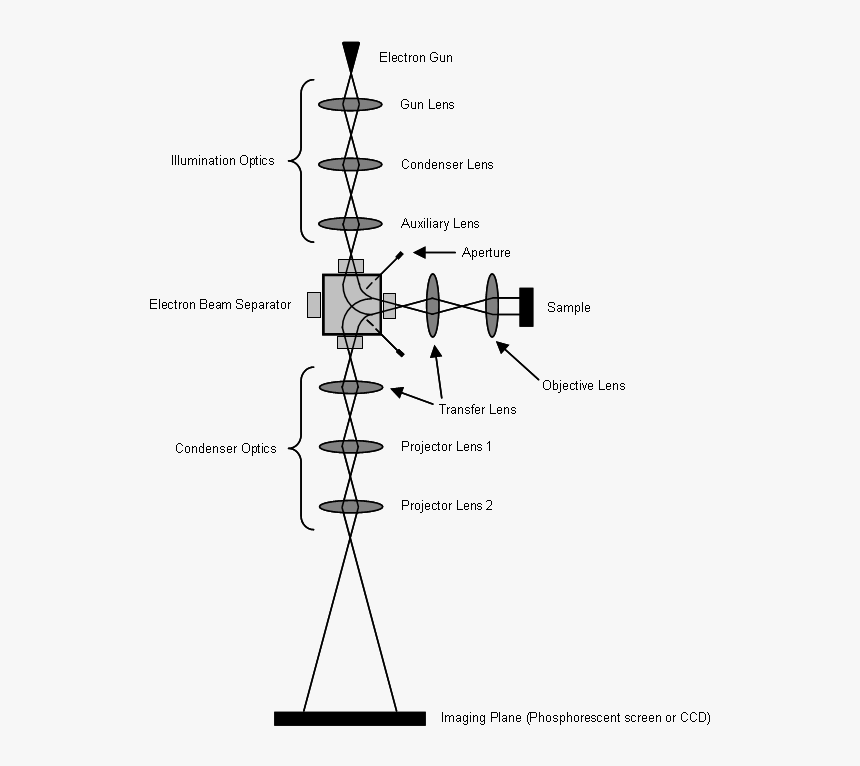 Leed Lens And Ray Diagram - Ray Diagram Of Electron Microscope, HD Png Download