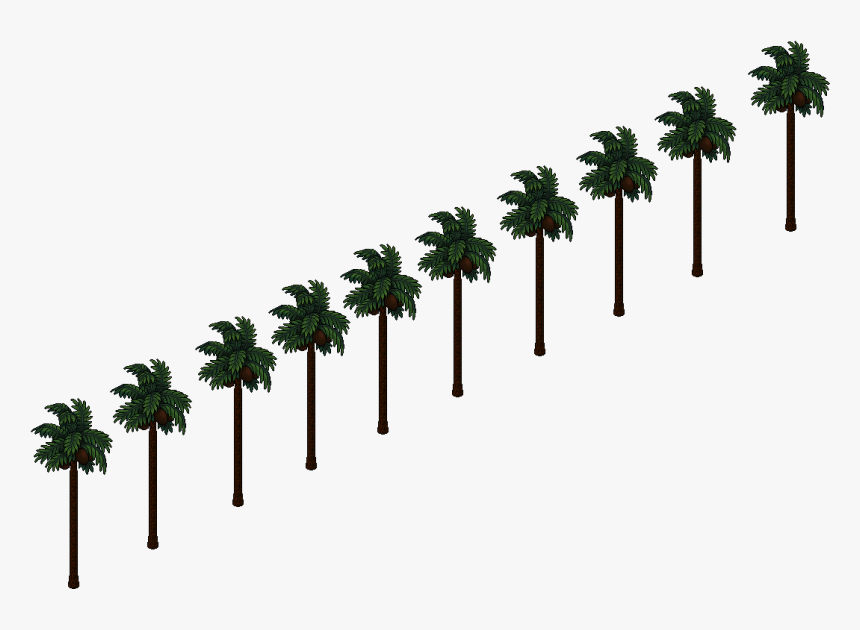 Hollywood - Palm Tree, HD Png Download