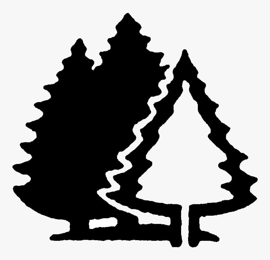 Black Brook Cove Campground - Camping Tree Clipart Black And White, HD Png Download