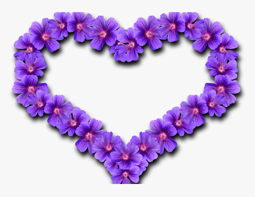 Meet Spanky, Our First Ever Purple Heart Pet - Transparent Love Purple Heart, HD Png Download