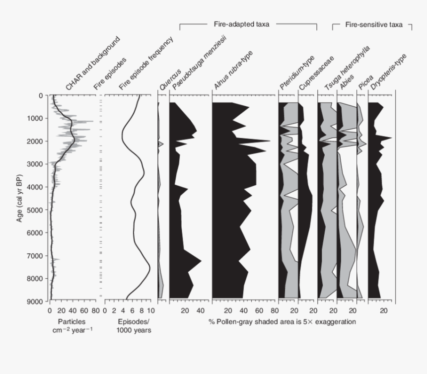 Illustration, HD Png Download