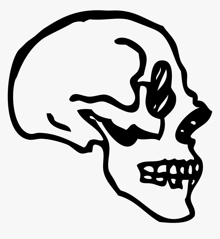 Skull Profile Clip Arts - Skull Profile Art Png, Transparent Png