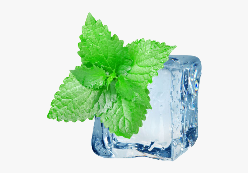 ледяная мята. кубики льда с мятой. замороженная мята. холодная мята. лед с мятой.