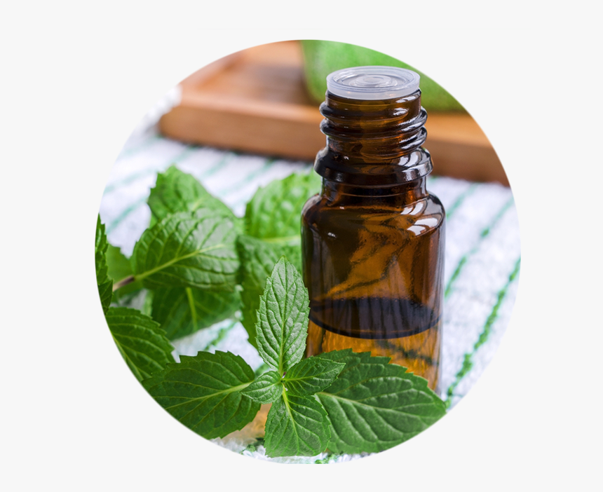 Peppermint Essential Oil, HD Png Download