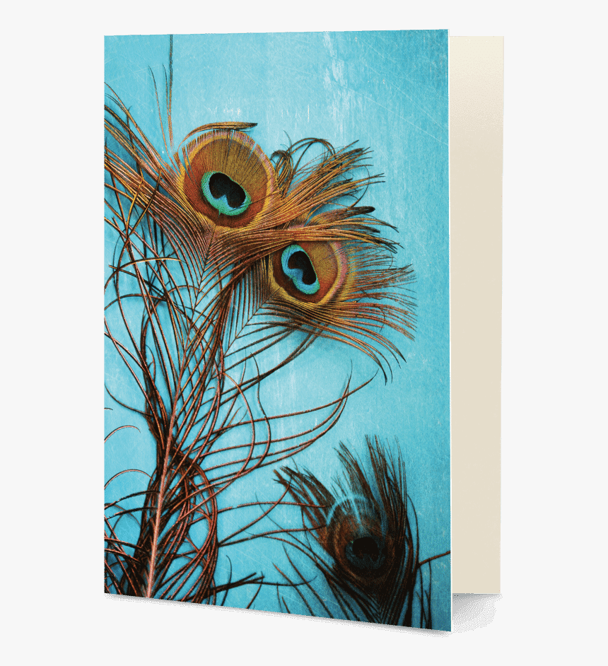 Cover For Redmi Note 5 Pro Peacock Feathers, HD Png Download