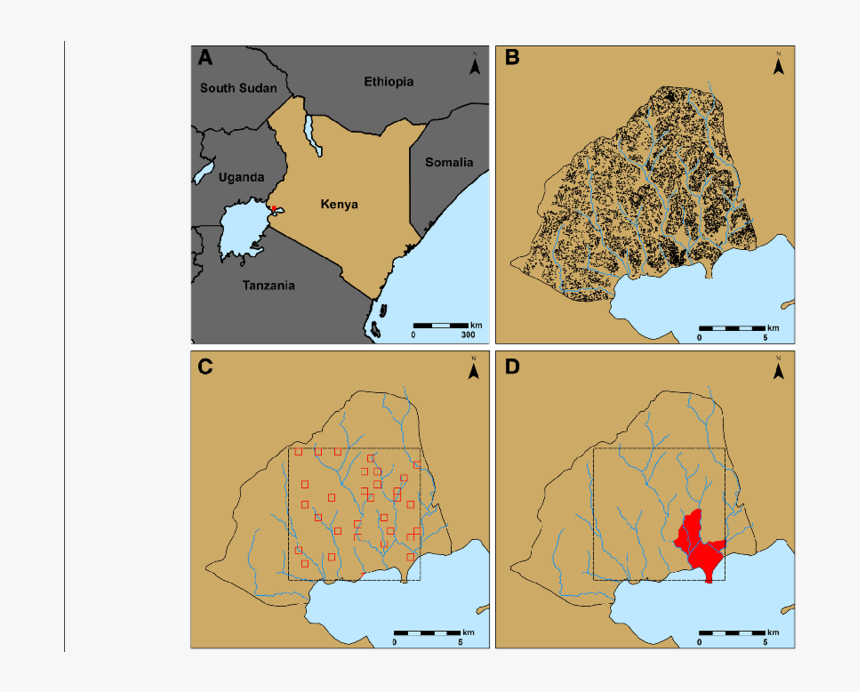 Diagram, HD Png Download