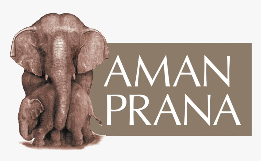 Pure Romance National Training 2019, HD Png Download