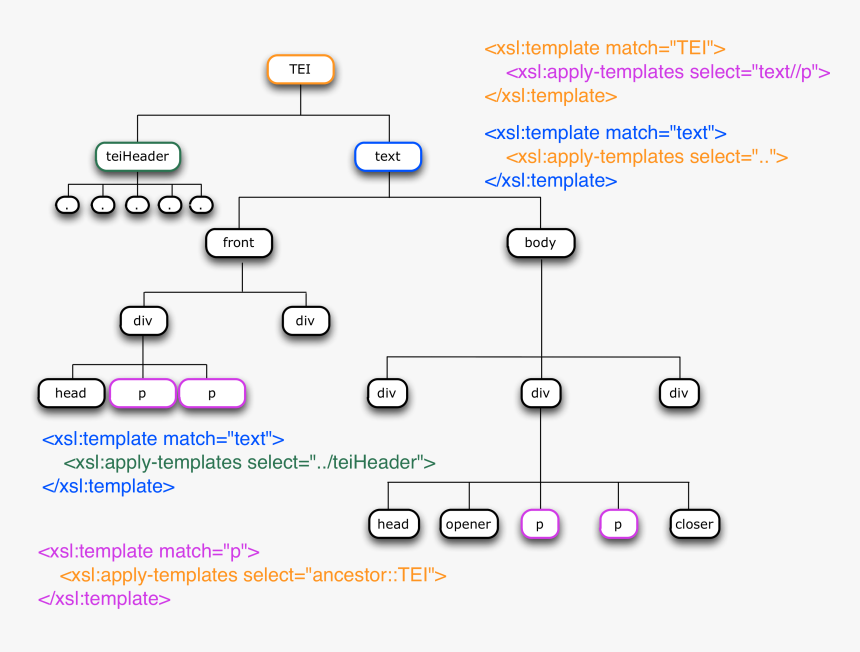 Child Descendant Parent Ancestor, HD Png Download