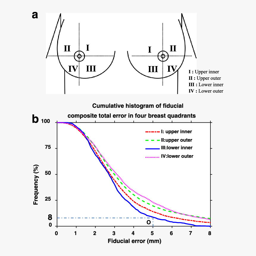 Divisions Of The Breast, HD Png Download