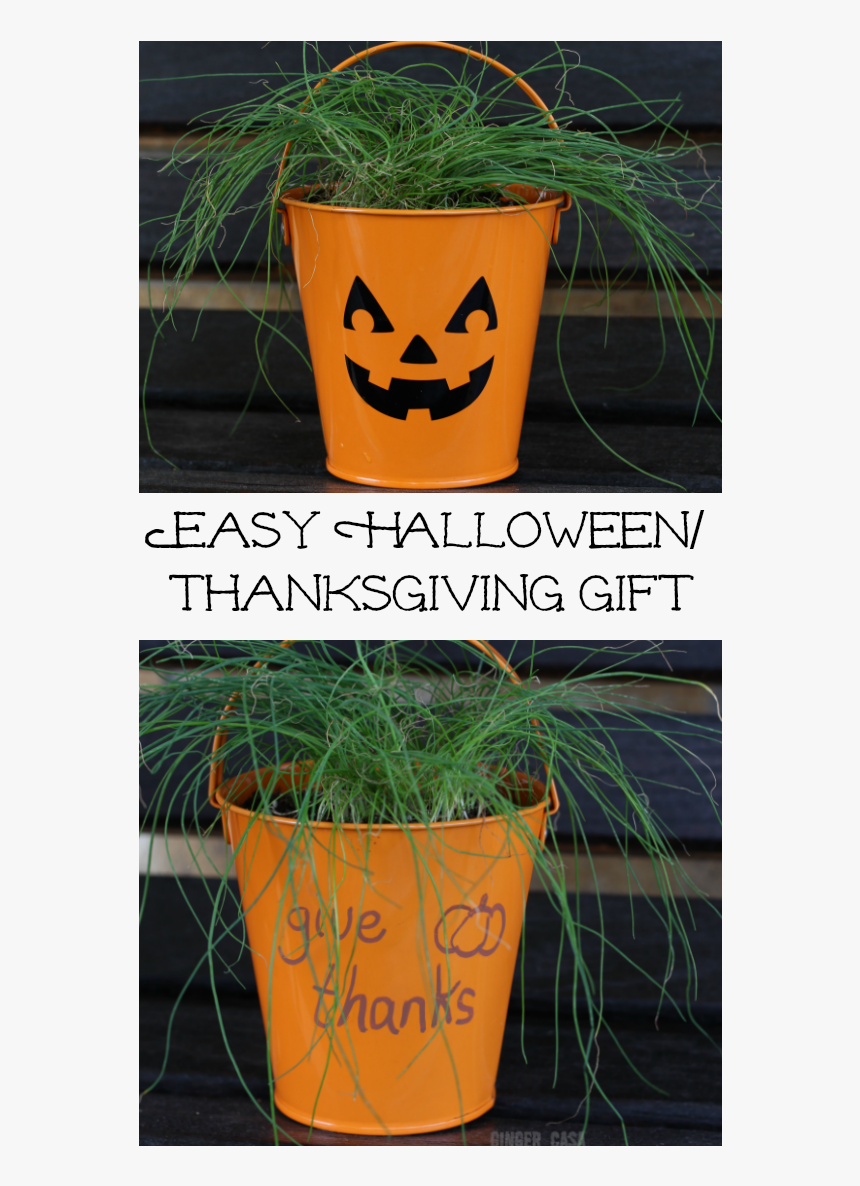 Flowerpot, HD Png Download