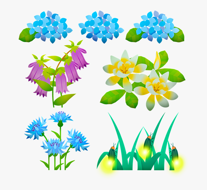 Flowers, Fireflies, Hydrangea, Summer, Flora, Outdoor, HD Png Download