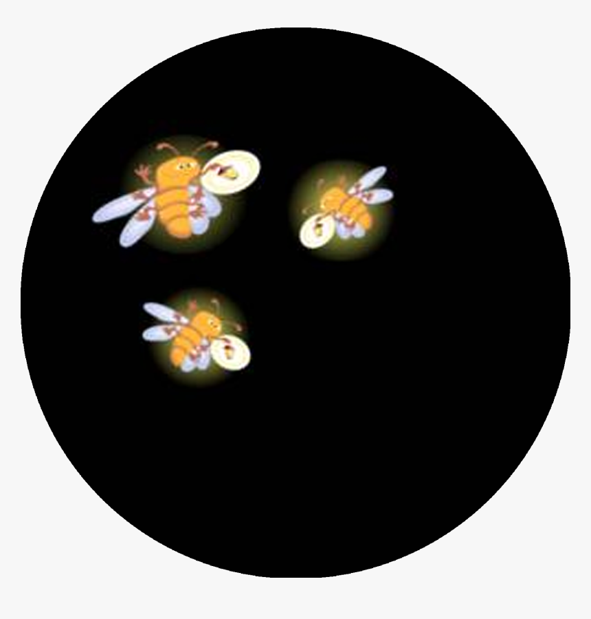 Circle, HD Png Download