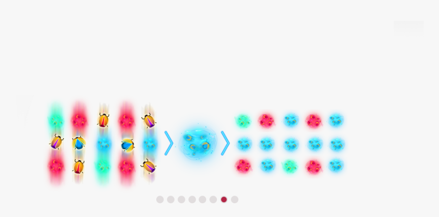 Circle, HD Png Download