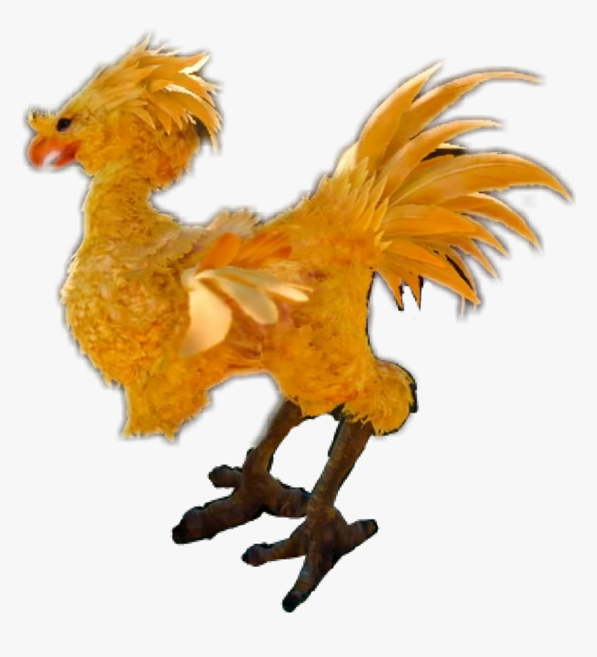 Rooster , Png Download - Rooster, Transparent Png