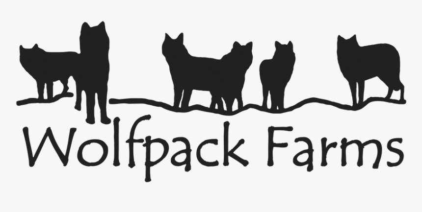 Picture - Silhouette Of Wolf Pack, HD Png Download