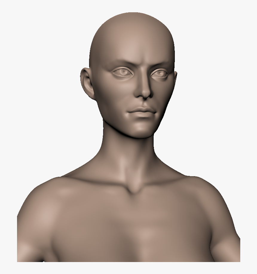 Head - Human - Barechested, HD Png Download