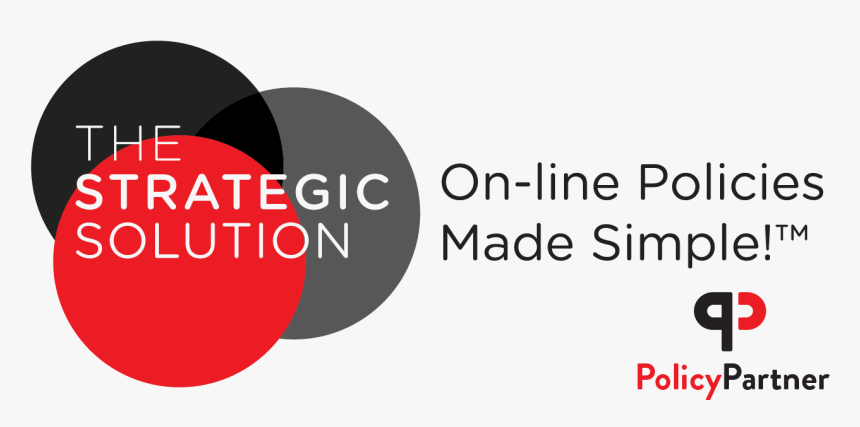 Circle- - Circle, HD Png Download