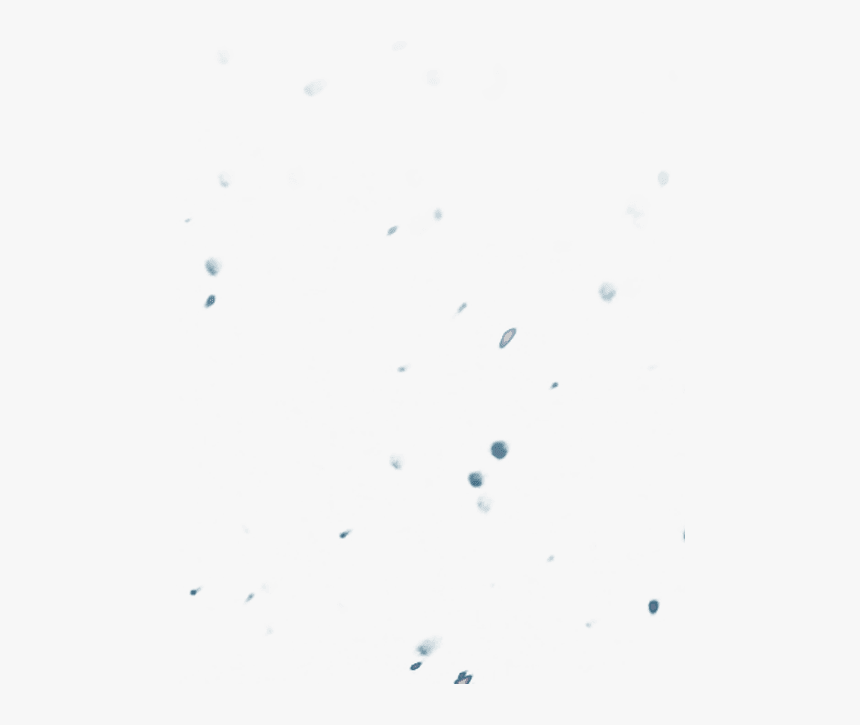 Snow, HD Png Download