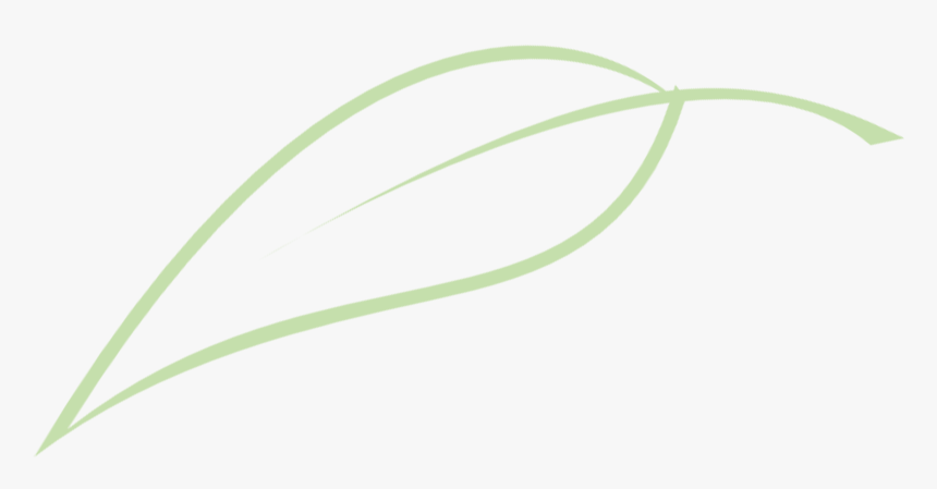 Leaf, HD Png Download