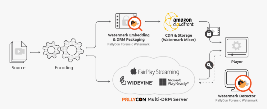 Watermarking-workflow - Forensic Watermarking, HD Png Download