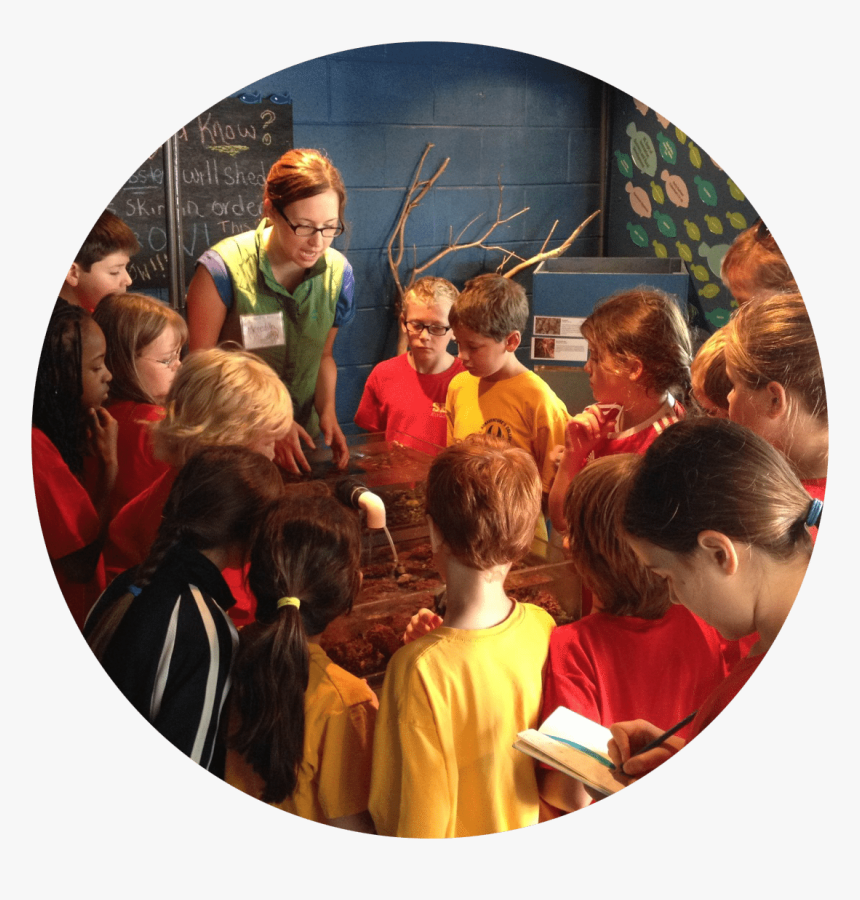 Circle, HD Png Download