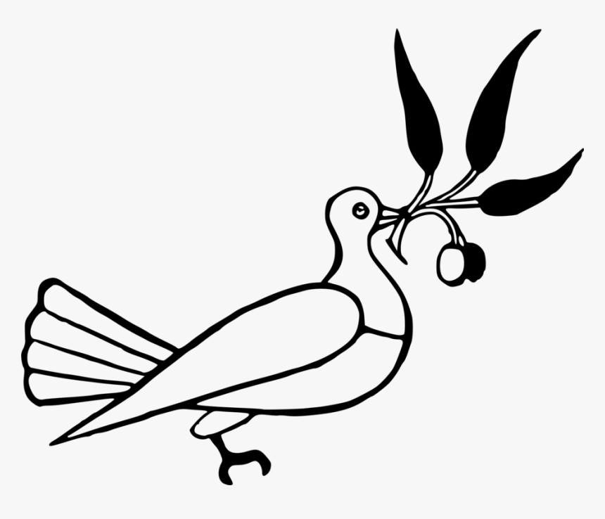 Dove With Olive Branch, HD Png Download
