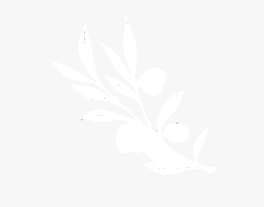 Transparent Olive Branch Png - White Olive Branch Png, Png Download