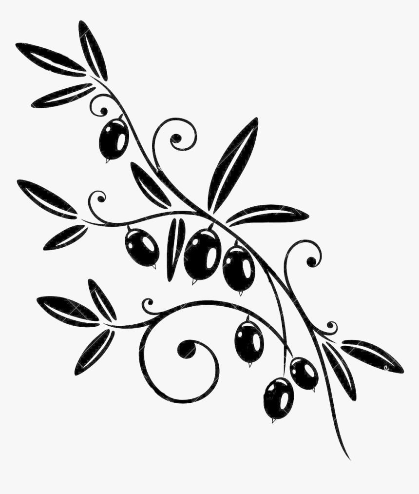 Transparent Olive Branch Png - Black Olive Branch Png, Png Download