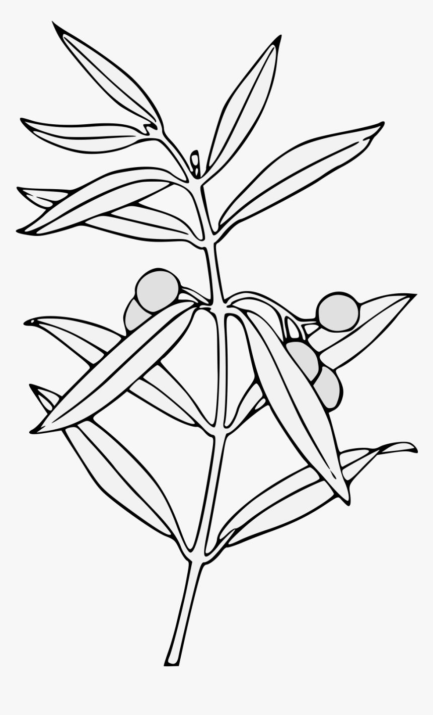 Line Art, HD Png Download
