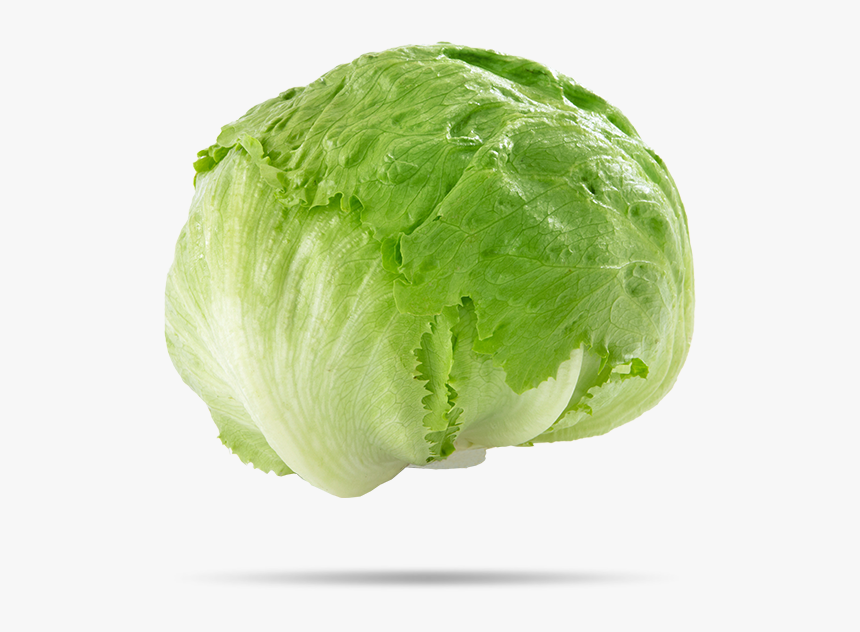 Iceberg Lettuce Transparent Background Iceberg Lettuce Png, Png