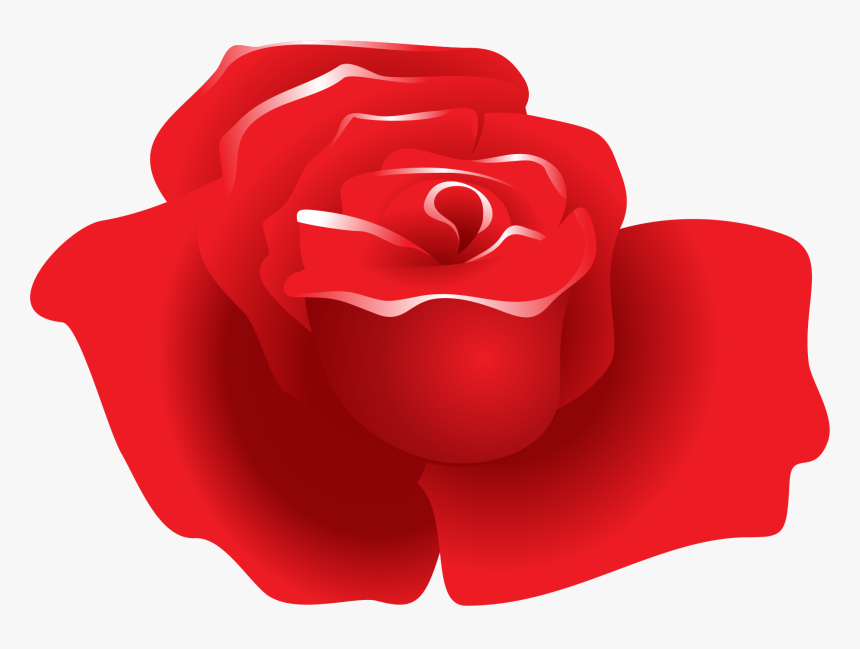 Garden Roses, HD Png Download