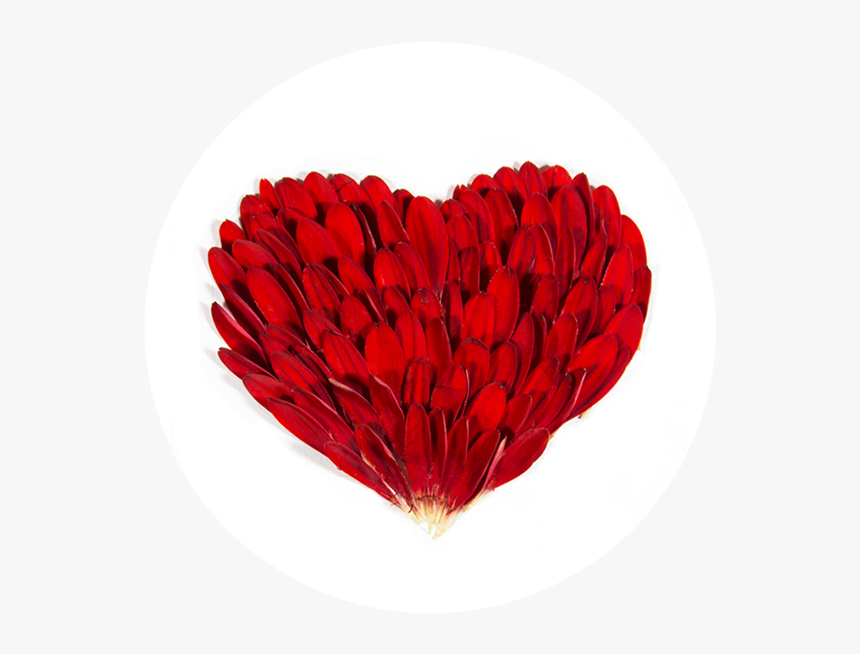 Artificial Flower, HD Png Download