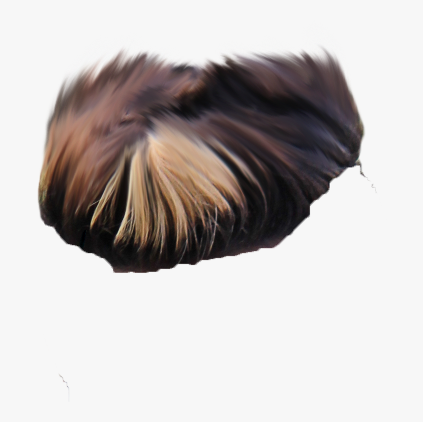 Lace Wig, HD Png Download
