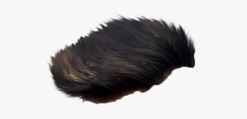 Echidna, HD Png Download