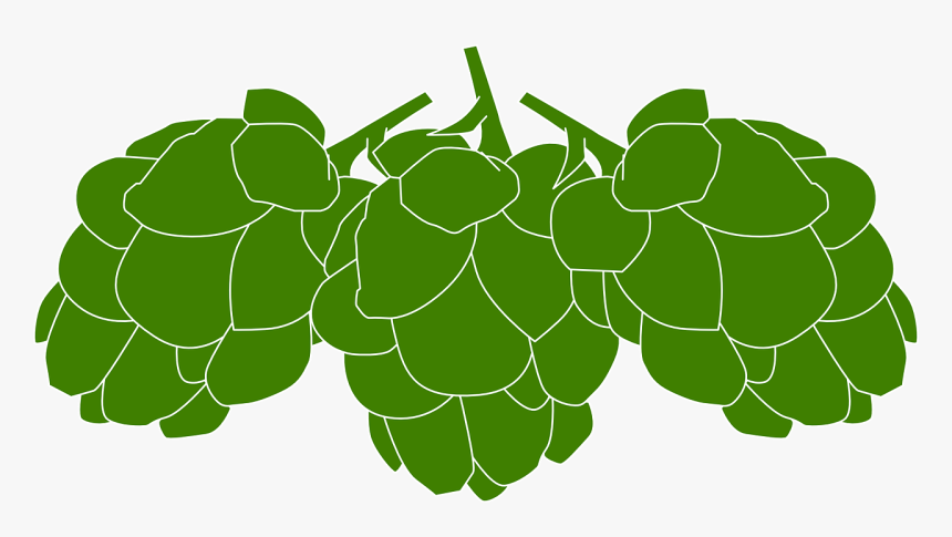 Beer Hops Clip Art, HD Png Download