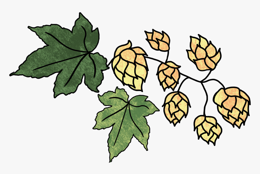 Hops And 2 Leaves, HD Png Download