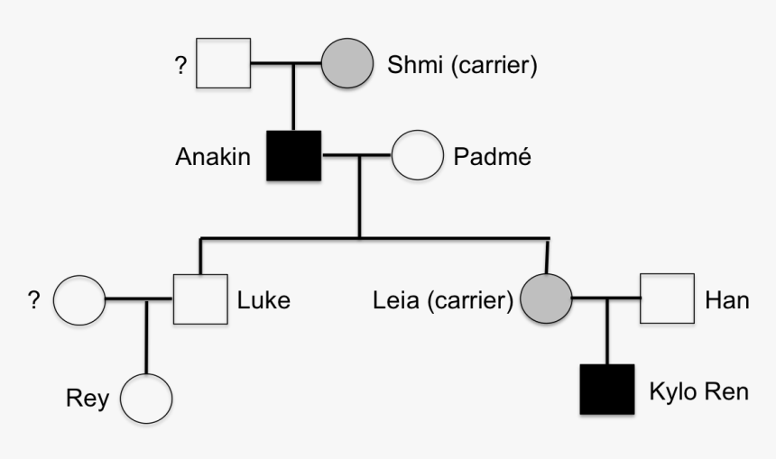 Star Wars Genetics, HD Png Download