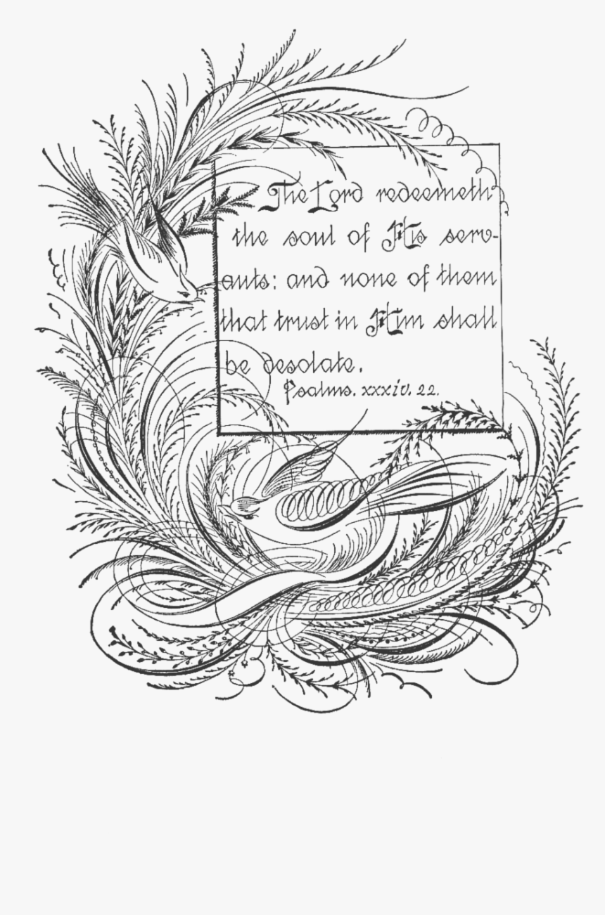 Transparent Vintage Clipart - Flourishes, HD Png Download