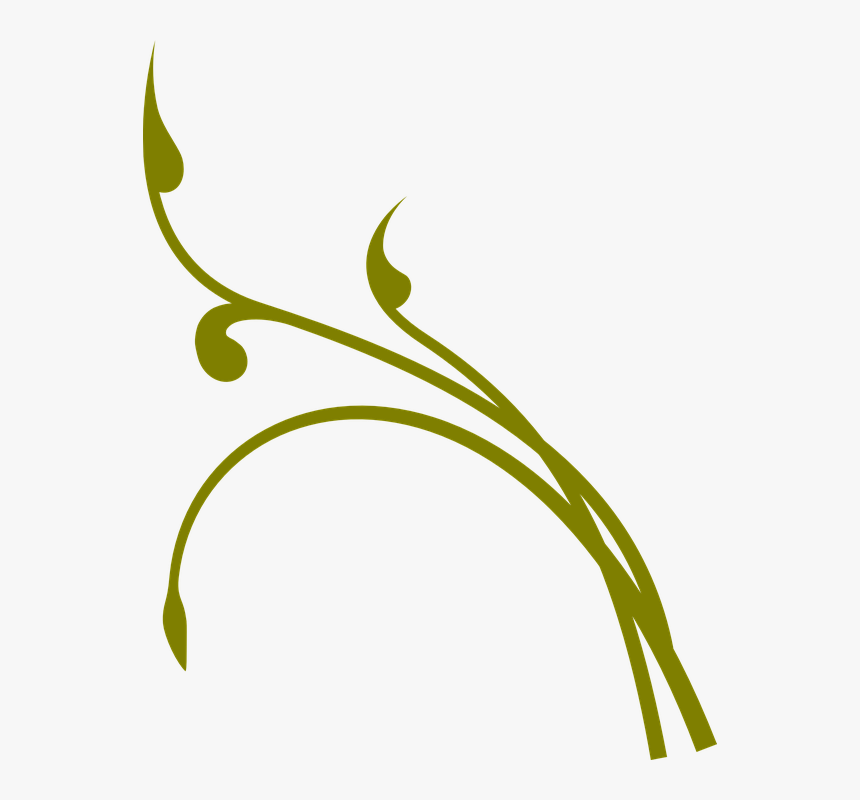Flourish, Vine, Floral, Green, Plant - Branch Clip Art, HD Png Download