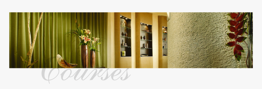 Pdo Thread Lift (ce Approved*) - Interior Design, HD Png Download