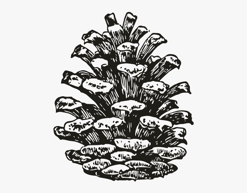 Smock Motif Smockpineconemotif - Southern Culture On The Skids The Electric Pinecones, HD Png Download