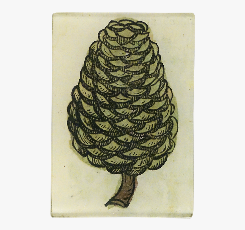 Sketch, HD Png Download