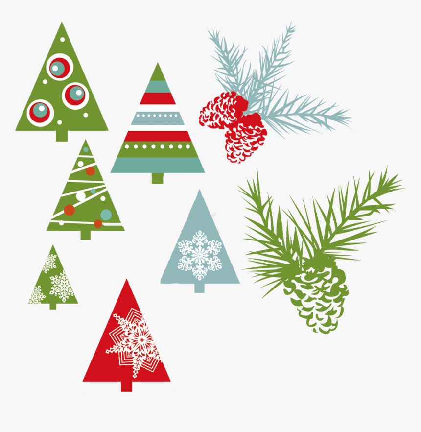 Drawn Pine Cone Evergreen - Vector Graphics Free Download, HD Png Download