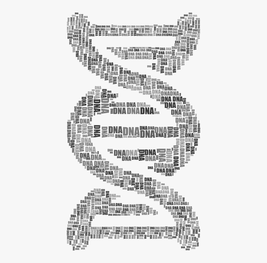 Dna Strand Word Cloud Typography Grayscale, HD Png Download