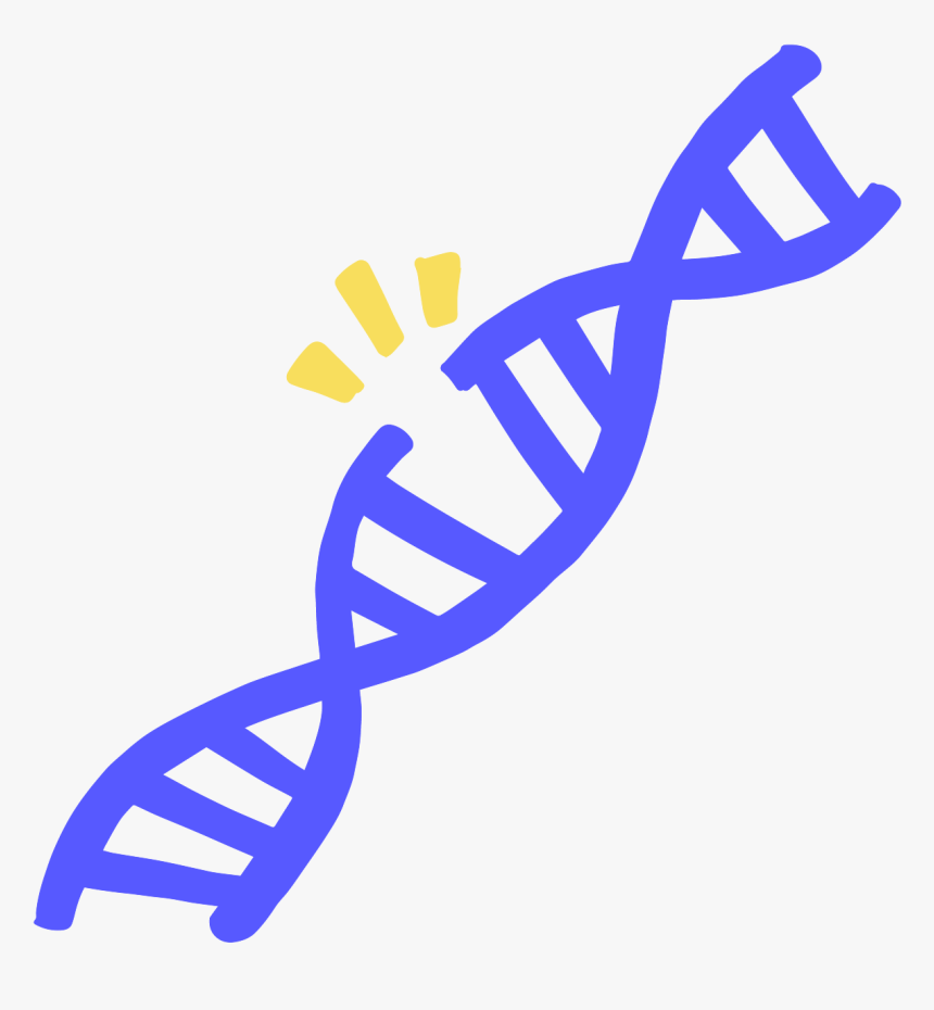 Transparent Dna Strand Png Dna Strand Clip Art, Png Download