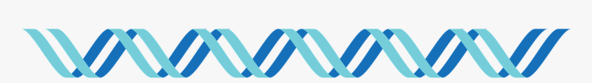 Dna Dna Icon Icon Free Picture - Parallel, HD Png Download